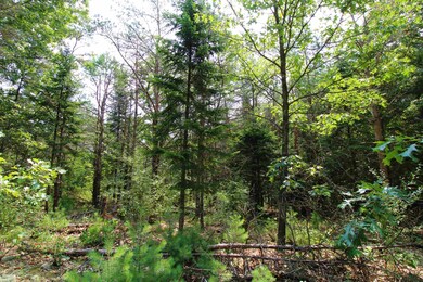 10 Acres 3rd, Coloma, WI 54930 - photo 6