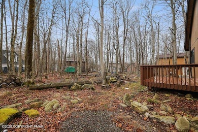 9390 Birch Ln, Tobyhanna, PA 18466 - photo 6