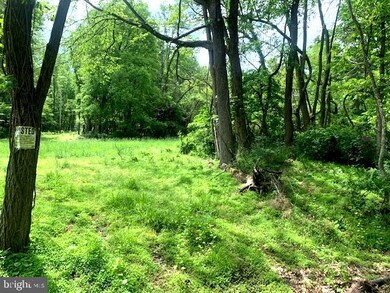 0 Jr Rannels Rd Finding Way unit WVHS2001950, Romney, WV 26757 - photo 6