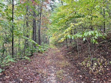 Trail