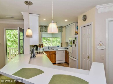 12491 Hayes Ct unit 202, Fairfax, VA 22033 - photo 6