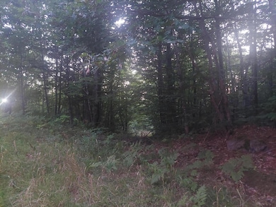 140 Stanchfield Ridge Rd, Milo, ME 04463 - photo 3