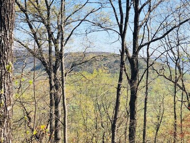 viny bluff 5