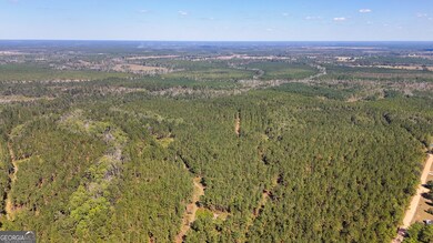 0 W 4th Street Extension unit 10650393, Alma, GA 31510 - photo 4