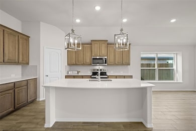 10312 Lenten Rose St, Fort Worth, TX 76036 - photo 4