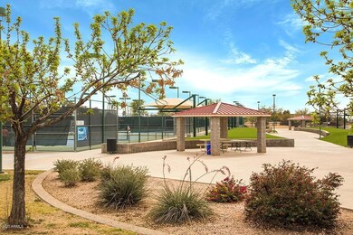 Tumble Weed park tennis 1