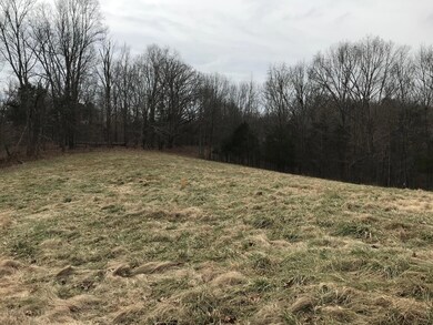 620 Bruners Chapel Rd, Harrodsburg, KY 40330 - photo 4