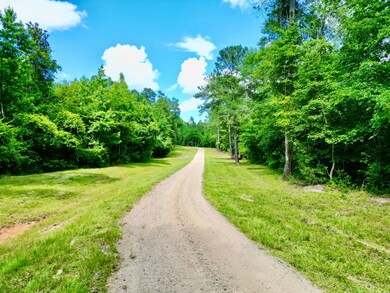 187 County Road 3343, Brundidge, AL 36010 - photo 6