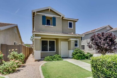 Lush/Grassy Front Yard