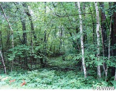 Lot 34 Spotted Fawn Rd, Danbury, WI 54830 - photo 2