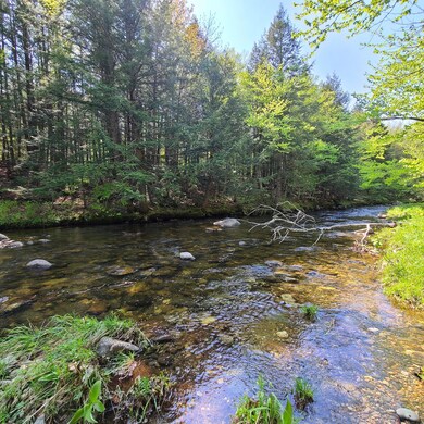 Sawyer Brook frontage