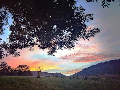 sunsets