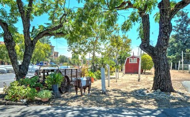 Carousel Image