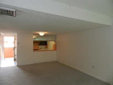 Living & Kitchen