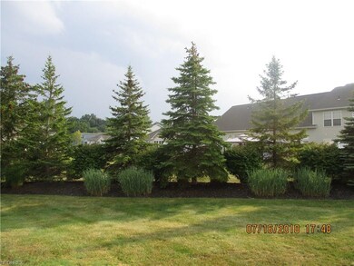 Rear yard view