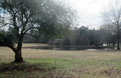 Pond