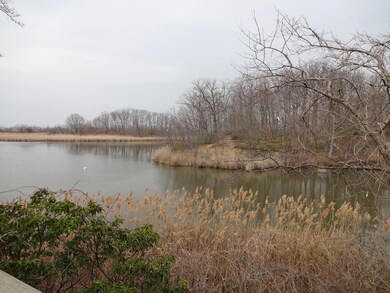 Lakeview2.jpg