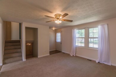 3756Aurelia-2239