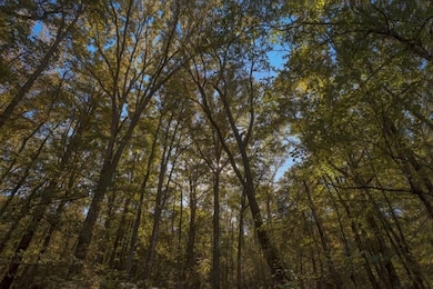 Scarboro Landing, Millen, GA 30442 - photo 3