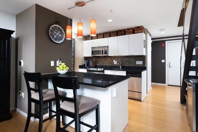 Sierra & Tango Condominiums unit 319, Cambridge, MA 02141 - photo 4