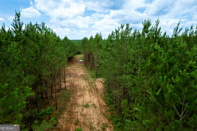 375 Bagley Rd, Forsyth, GA 31029 - photo 4