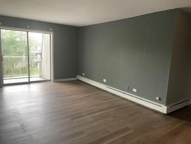 928 Jonathon Ct unit 304, Prospect Heights, IL 60070 - photo 3