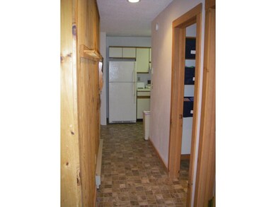 12 Open Meadow Lane (C234 C237), Wilmington, VT 05363 - photo 7