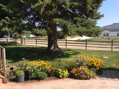 flower bed