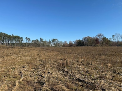 Hwy 397 S, Louisville, MS 39339 - photo 5
