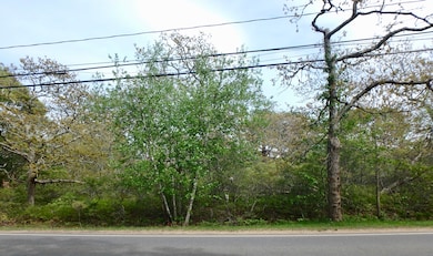 134 Old County Rd, West Tisbury, MA 02575 - photo 5