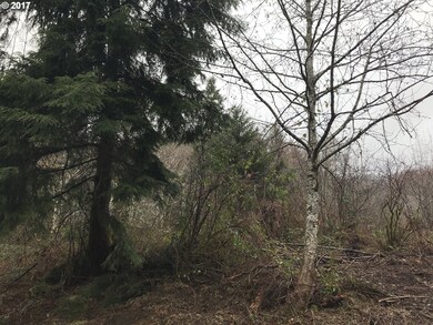 0 Miami Foley Rd unit 17064732, Nehalem, OR 97131 - photo 4