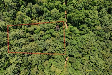 LOT 1972 Nancy Ct, Ellijay, GA 30540 - photo 3