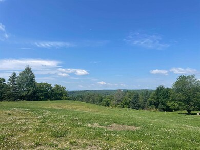 123 Tousant Hill Rd, Greensboro Bend, VT 05842 - photo 6