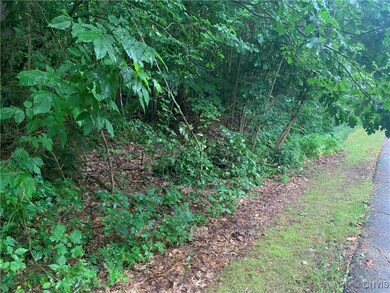 0 Anderson Way Dr, Minetto, NY 13069 - photo 4