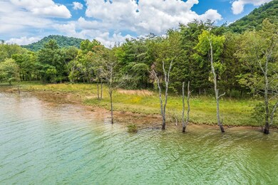 2815 Kidwell Church Rd, Morristown, TN 37184 - photo 6