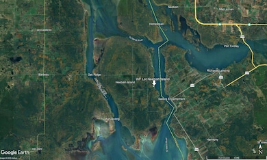 Aerial Lot 4 Neebish Island Far Out