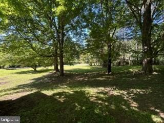 6410 Kennett Pike, Wilmington, DE 19807 - photo 7