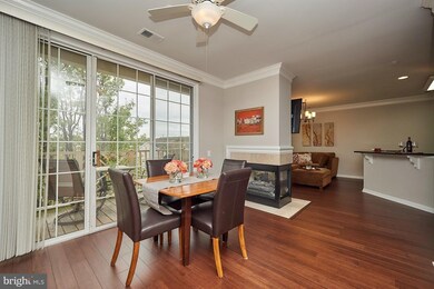 1725 Braddock Place unit 301, Alexandria, VA 22302 - photo 6