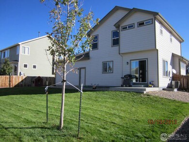 217 Chapel Hill Dr, Brighton, CO 80601 - photo 4