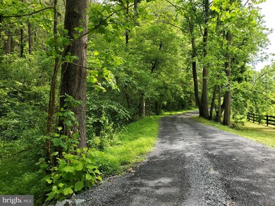 00 Ridgeview Ln, Washington, VA 22747 - photo 5