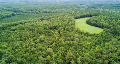 0 N Butts Mill Rd unit 222273, Pine Mountain, GA 31822 - photo 4