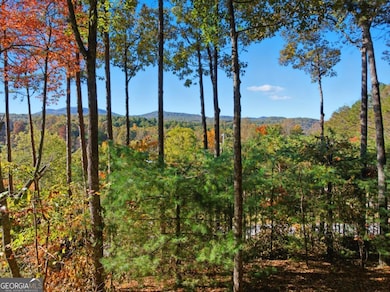 5240 Squirrel Hunting Rd, Morganton, GA 30560 - photo 5