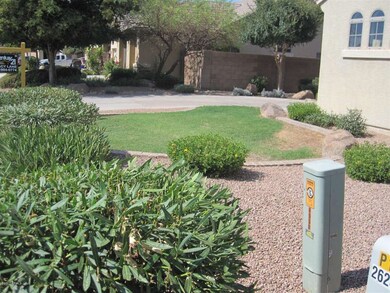 Landscaping detail at front yard