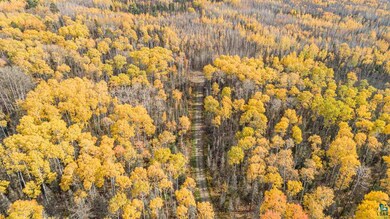 tbd Labrec Klein Trail, Ely, MN 55731 - photo 4