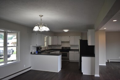 4704 W 48th St, Fremont, MI 49412 - photo 2