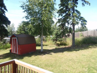 Back yard