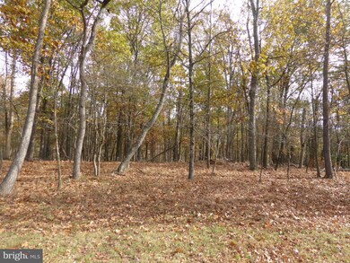 LOT 6 Noland Ridge Rd, Gore, WV 25444 - photo 4