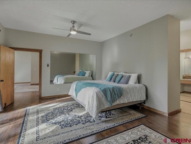 102 Valley View Dr unit 3162 & 3163, Pagosa Springs, CO 81147 - photo 5