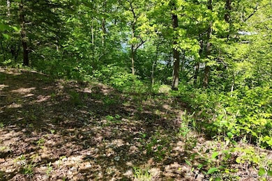 Tract B Lake Forest Estates Rd, Stover, MO 65078 - photo 7