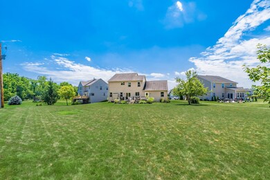 Huge Back Yard